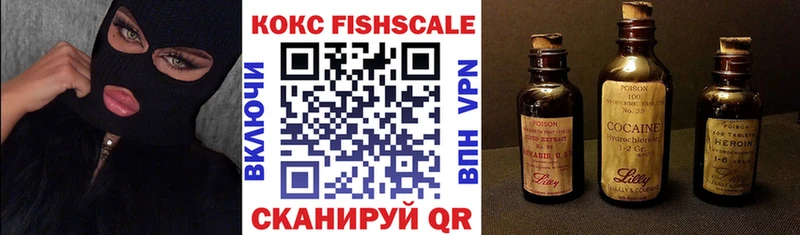 Cocaine FishScale  Купить закладки  Кирсанов 