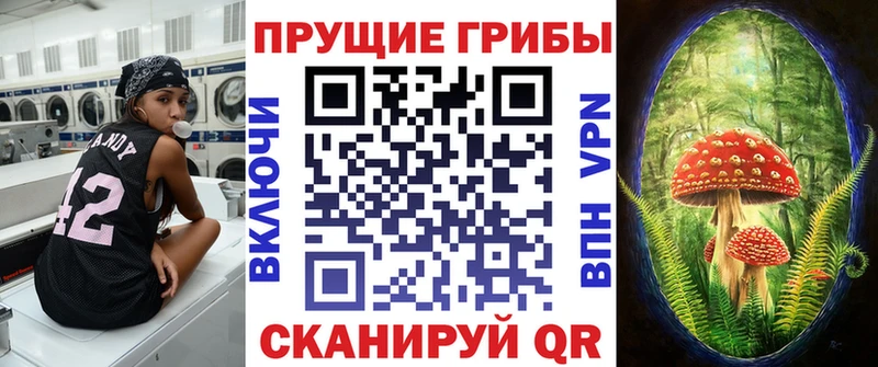 Галлюциногенные грибы Psilocybine cubensis  Купить где  Кирсанов 